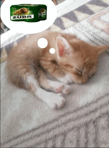 wiesio